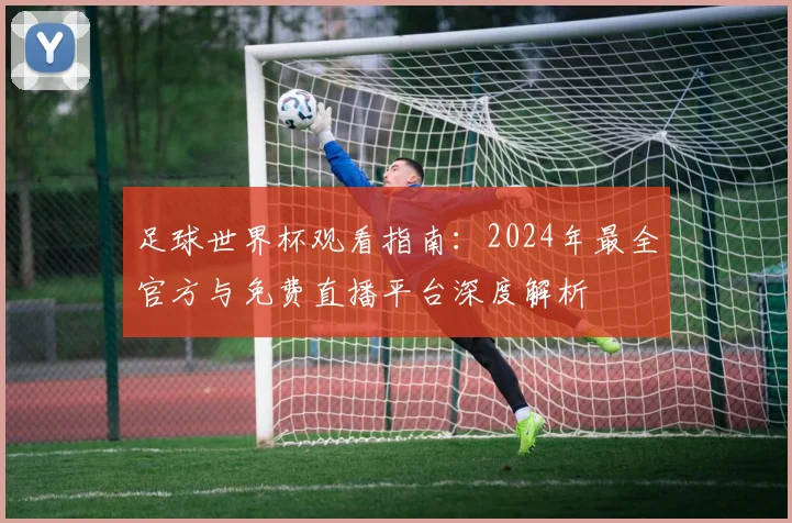 足球世界杯观看指南：2024年最全官方与免费直播平台深度解析